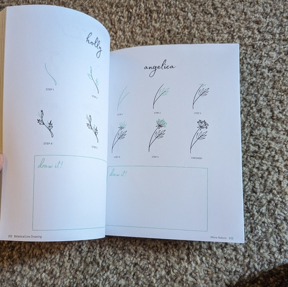 Botanical Line Drawing 200 Step-by-step cacti, leaves, flowers, succulents - Picture 10 of 16